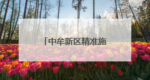 中牟新区精准施策 “三夏”生产跑出丰收加速度