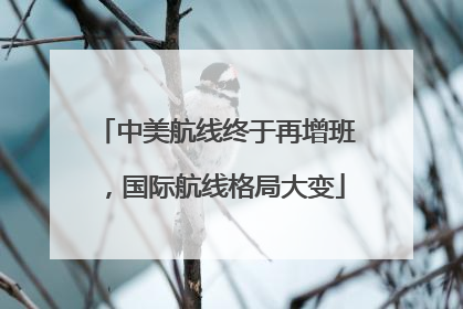 中美航线终于再增班，国际航线格局大变