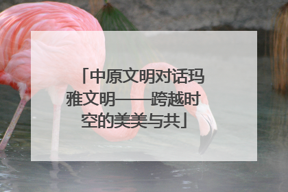 中原文明对话玛雅文明——跨越时空的美美与共