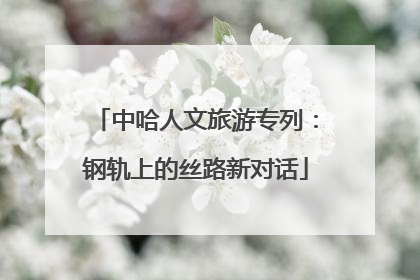 中哈人文旅游专列：钢轨上的丝路新对话