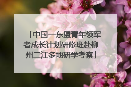 中国—东盟青年领军者成长计划研修班赴柳州三江多地研学考察