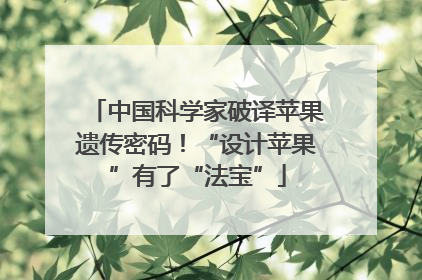 中国科学家破译苹果遗传密码！“设计苹果”有了“法宝”