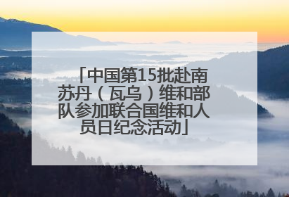 中国第15批赴南苏丹（瓦乌）维和部队参加联合国维和人员日纪念活动