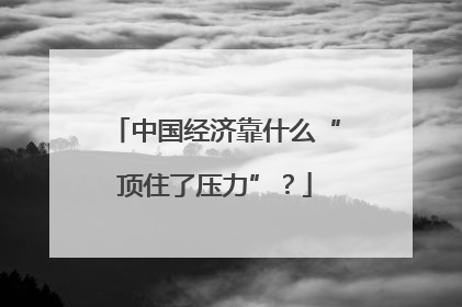中国经济靠什么“顶住了压力”？