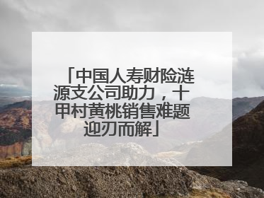 中国人寿财险涟源支公司助力，十甲村黄桃销售难题迎刃而解