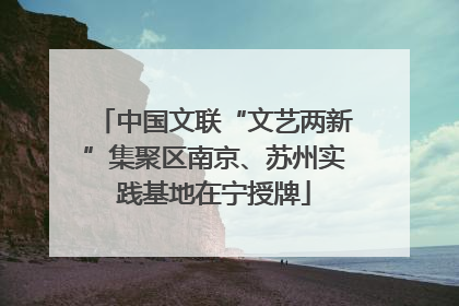 中国文联“文艺两新”集聚区南京、苏州实践基地在宁授牌