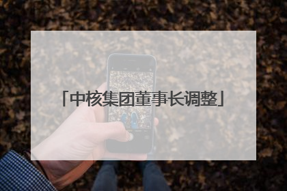 中核集团董事长调整