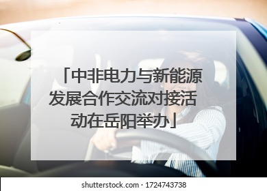 中非电力与新能源发展合作交流对接活动在岳阳举办