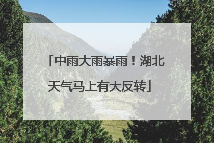 中雨大雨暴雨！湖北天气马上有大反转