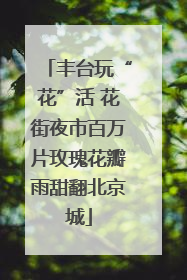 丰台玩“花”活 花街夜市百万片玫瑰花瓣雨甜翻北京城