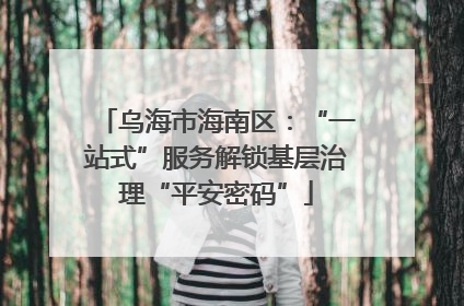乌海市海南区：“一站式”服务解锁基层治理“平安密码”