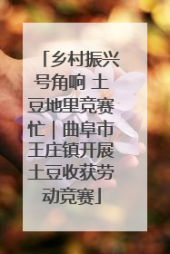 乡村振兴号角响 土豆地里竞赛忙｜曲阜市王庄镇开展土豆收获劳动竞赛