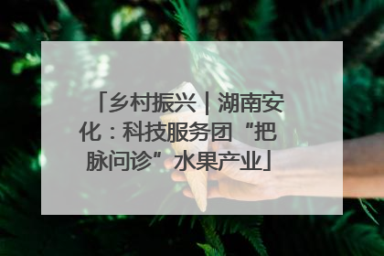 乡村振兴｜湖南安化：科技服务团“把脉问诊”水果产业