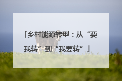 乡村能源转型：从“要我转”到“我要转”