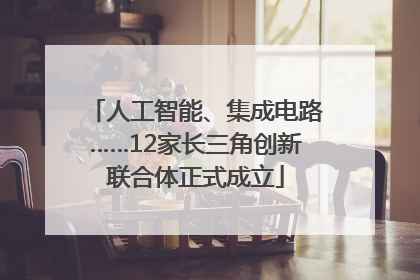 人工智能、集成电路……12家长三角创新联合体正式成立