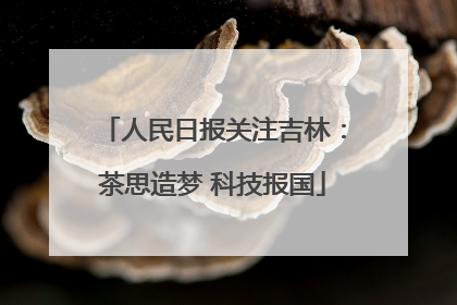 人民日报关注吉林：茶思造梦 科技报国
