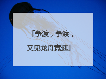 争渡，争渡，又见龙舟竞速