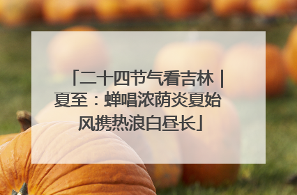 二十四节气看吉林｜夏至：蝉唱浓荫炎夏始 风携热浪白昼长