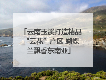 云南玉溪打造精品“云花”产区 蝴蝶兰飘香东南亚