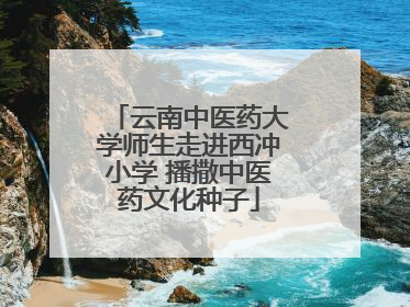 云南中医药大学师生走进西冲小学 播撒中医药文化种子