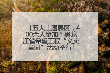 五大主题展区，400余人参加！黑龙江省希望工程“义卖童园”活动举行