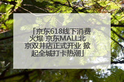 京东618线下消费火爆 京东MALL北京双井店正式开业 掀起全城打卡热潮