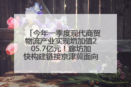 今年一季度现代商贸物流产业实现增加值205.7亿元！廊坊加快构建链接京津冀面向全世界的物流通道