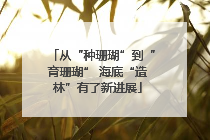 从“种珊瑚”到“育珊瑚” 海底“造林”有了新进展