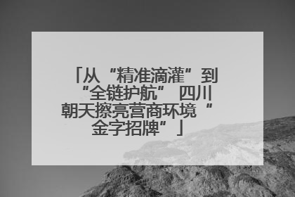 从“精准滴灌”到“全链护航” 四川朝天擦亮营商环境“金字招牌”