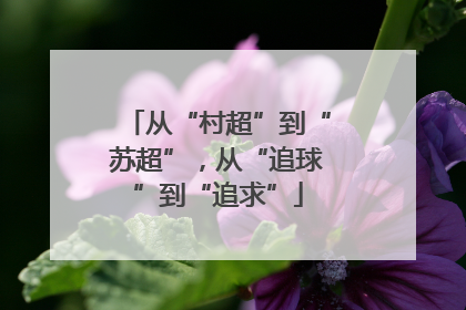 从“村超”到“苏超”，从“追球”到“追求”