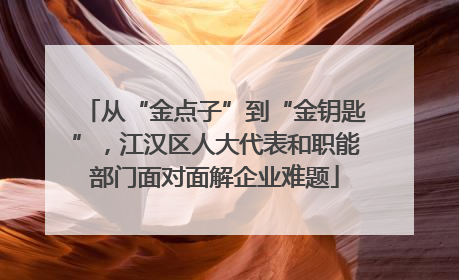 从“金点子”到“金钥匙”，江汉区人大代表和职能部门面对面解企业难题