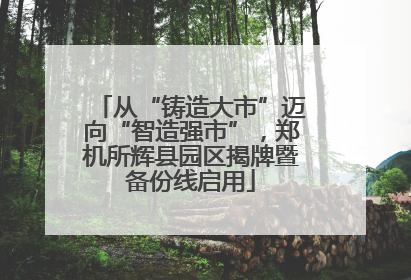 从“铸造大市”迈向“智造强市”，郑机所辉县园区揭牌暨备份线启用