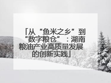 从“鱼米之乡”到“数字粮仓”：湖南粮油产业高质量发展的创新实践