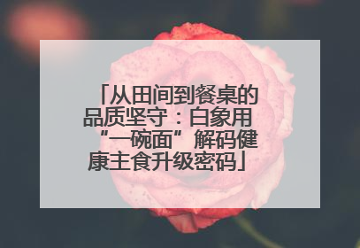 从田间到餐桌的品质坚守：白象用“一碗面”解码健康主食升级密码