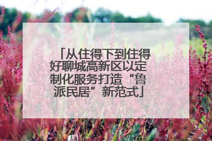 从住得下到住得好聊城高新区以定制化服务打造“鲁派民居”新范式