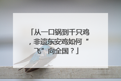 从一口锅到千只鸡，非遗东安鸡如何“飞”向全国？