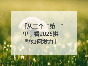 从三个“第一”里，看2025拱墅如何发力