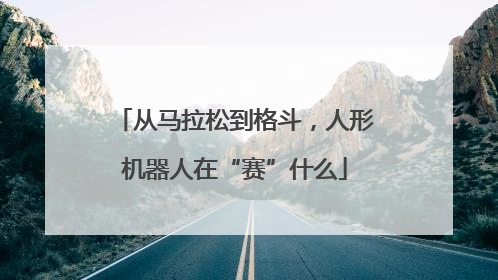 从马拉松到格斗，人形机器人在“赛”什么