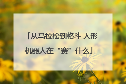 从马拉松到格斗 人形机器人在“赛”什么