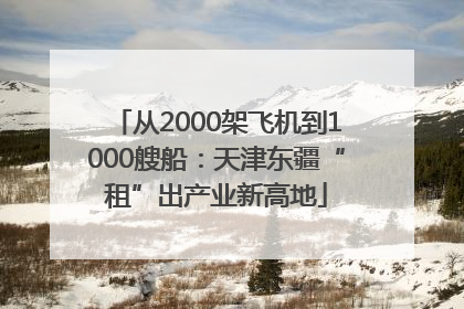 从2000架飞机到1000艘船：天津东疆“租”出产业新高地