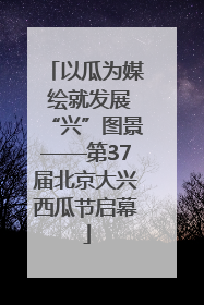 以瓜为媒 绘就发展“兴”图景——第37届北京大兴西瓜节启幕