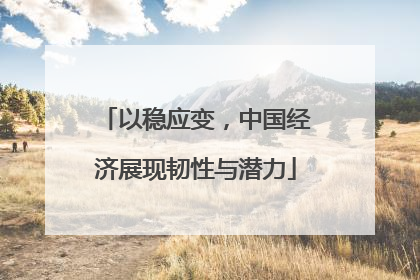 以稳应变，中国经济展现韧性与潜力