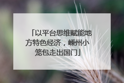 以平台思维赋能地方特色经济，嵊州小笼包走出国门