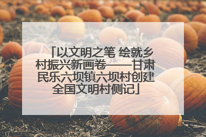 以文明之笔 绘就乡村振兴新画卷——甘肃民乐六坝镇六坝村创建全国文明村侧记