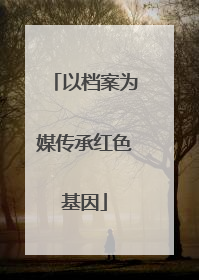 以档案为媒传承红色基因