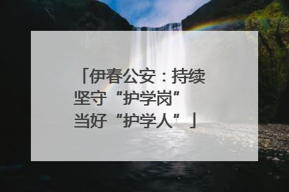 伊春公安：持续坚守“护学岗” 当好“护学人”