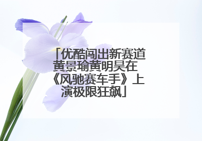 优酷闯出新赛道 黄景瑜黄明昊在《风驰赛车手》上演极限狂飙