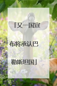 又一国宣布将承认巴勒斯坦国