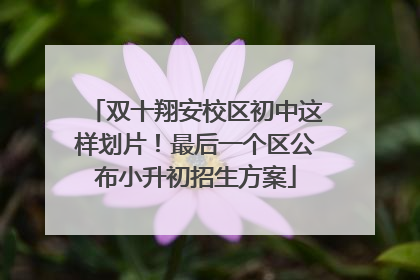 双十翔安校区初中这样划片！最后一个区公布小升初招生方案
