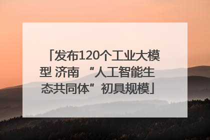 发布120个工业大模型 济南 “人工智能生态共同体”初具规模